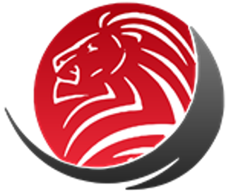 Singapore Accountants