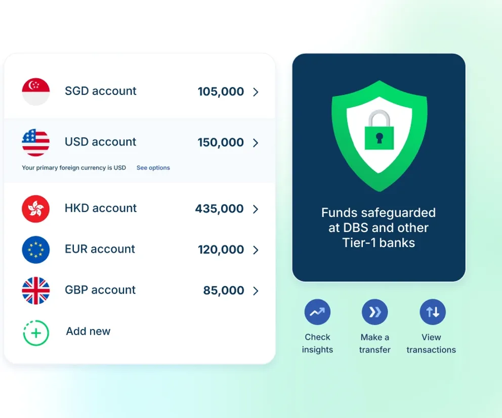Open multi-currency business accounts in SGD, USD, EUR, GBP, MYR, PHP, IDR and VND from anywhere