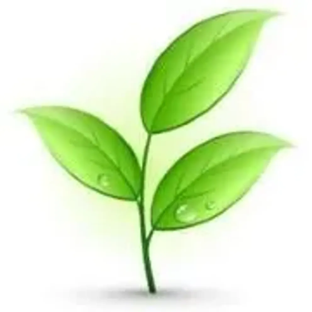 EBOS Cloud Accountants logo
