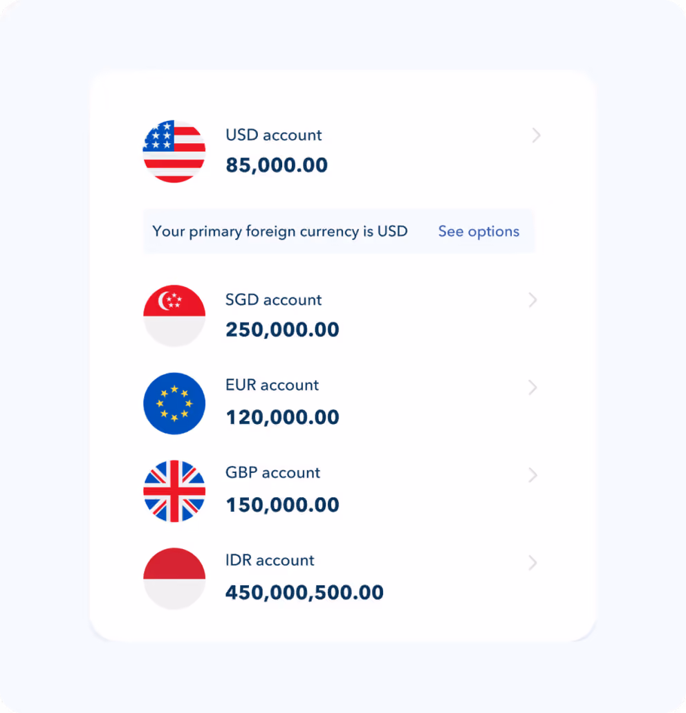 The Aspire multi-currency account balances