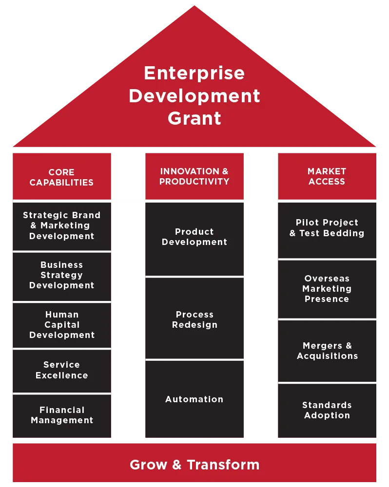 Enterprise Development Grant drawn as a house on three pillars: core capabilities, innovation and productivity, market access