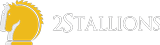 2 STALLIONS DIGITAL MARKETING AGENCY