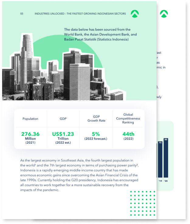 Industries Unlocked - The 2023 Top Growth Sectors in Indonesia — preview